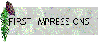 FIRST IMPRESSIONS